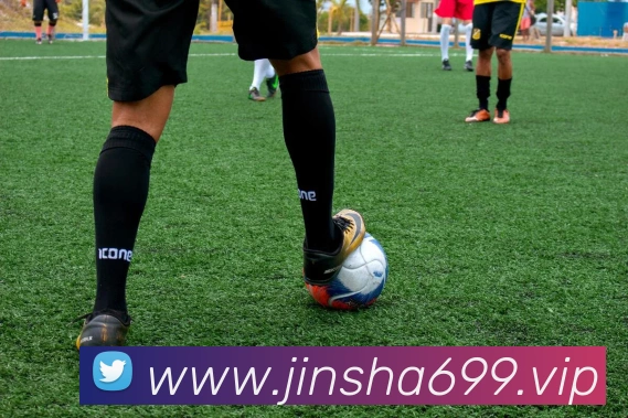 金沙娱乐APP 封面图